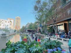 -荔湾湖公园