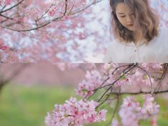 -天适樱花悠乐园