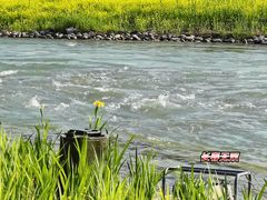 -永定河休闲森林公园