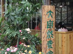 -大自然素食(望桐路店)