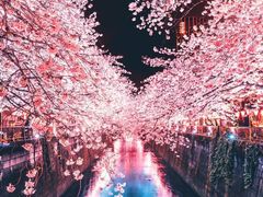 -尺山寸水日料(马桥满天星店)