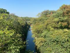 -天生桥景区