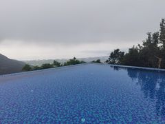 -三亚亚龙湾人间天堂鸟巢度假村