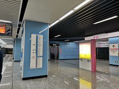 -大龙山(地铁站)