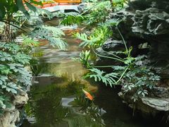 -白天鹅宾馆·流浮阁咖啡厅