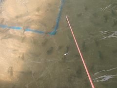 -会江钓鱼钓虾烧烤场