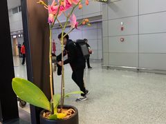 -肯德基(成都机场T2到达精选店)