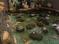景观位-汇景花园酒家(基立下道店)