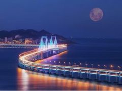 -星海湾跨海大桥