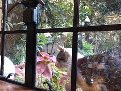 马勒传统下午茶-马勒别墅·中餐厅