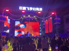 -巨鹏飞梦幻海岸