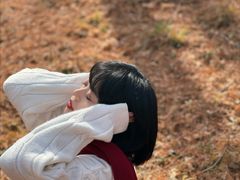 -黄海国家森林公园