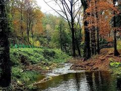 -素山寺森林公园
