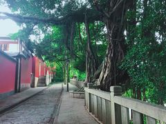 -乌山风景区