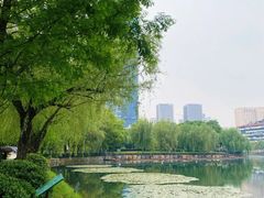 -宝岛公园
