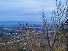 -阳台山自然风景区