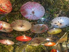 -海韵人家.海景花园经典云南菜(双廊店)