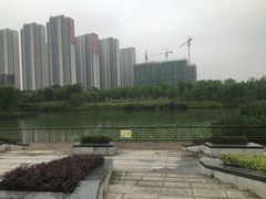 -南翔镇银翔湖公园