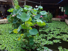 android_upload_pic-荷香居(洞企石路店)