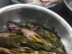 -庆岭迎宾园正宗活鱼馆