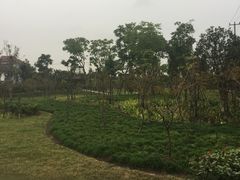 -锦江中华村农家乐饭庄