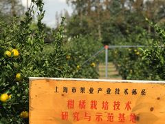 -前小桔亲子创意农场·草莓采摘·露营烧烤