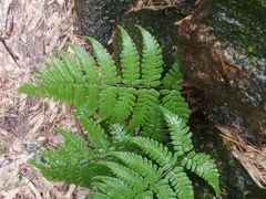-会稽山峡洞漂流-上青古道