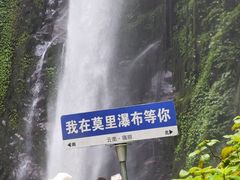 -莫里热带雨林景区