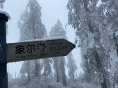 -瓦屋山景区