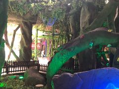 -横店影视城梦幻谷园区