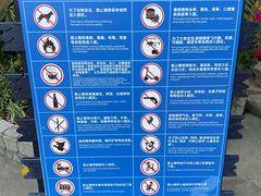 -广州长隆飞鸟乐园