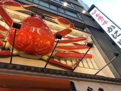 -蟹道乐(道顿堀本店)