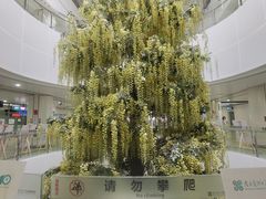 -南方医科大学深圳医院