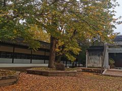 -苏州文庙(姑苏区)