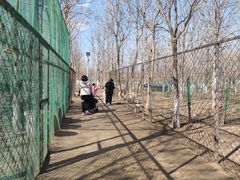 -草根堂农场