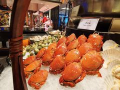 -安蒂娅·海鲜自助餐厅(安蒂娅美兰酒店)