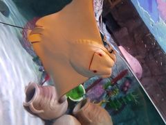 -沈阳海洋探索中心