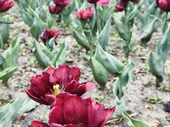 -长春公园(普阳街道)