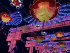 -淄博花灯齐彩城