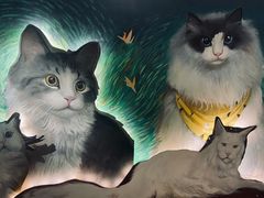 -猫腻·猫咖·撸猫馆(星光大道店)