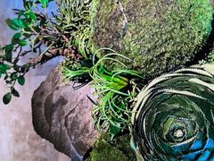 -艺水间水汇