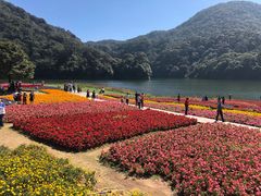 -广州市石门国家森林公园