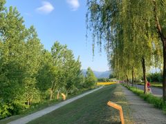-洨河生态公园