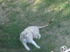 -石家庄市动物园