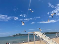 -海驴岛(荣成市)