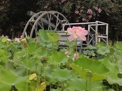 -武汉紫薇都市田园