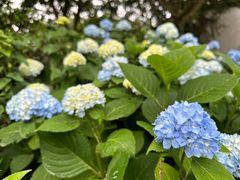 -雨花胜境