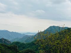 -大岭沟猕猴桃谷风景区