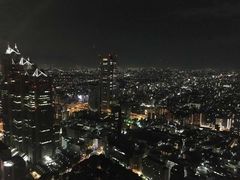 -东京都厅舍