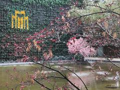 -锦江都城经典达华静安寺酒店·餐厅